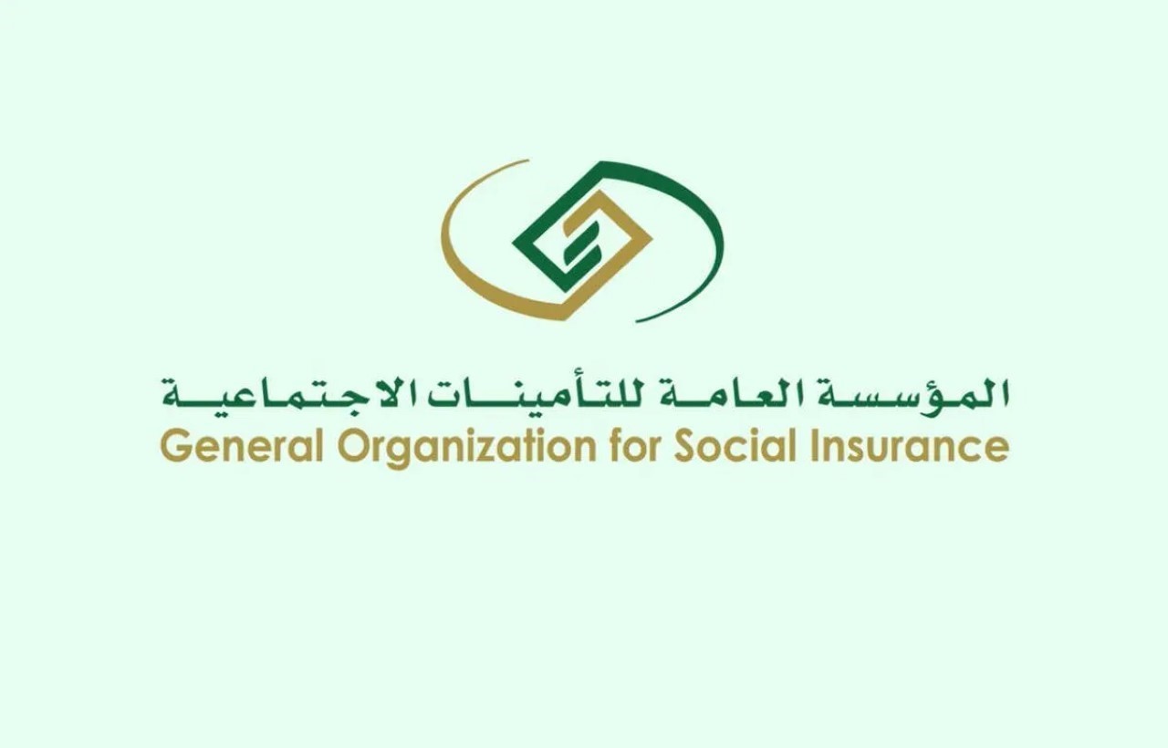 فئات الموظفين في الدولة الذين سيطبق عليهم نظام التأمينات الجديد